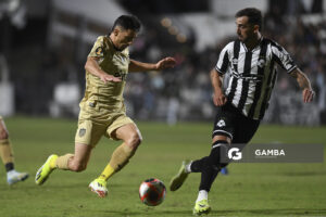 Torneo Apertura. Parque Alfredo Víctor Viera.