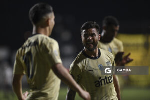 Torneo Apertura. Parque Alfredo Víctor Viera.