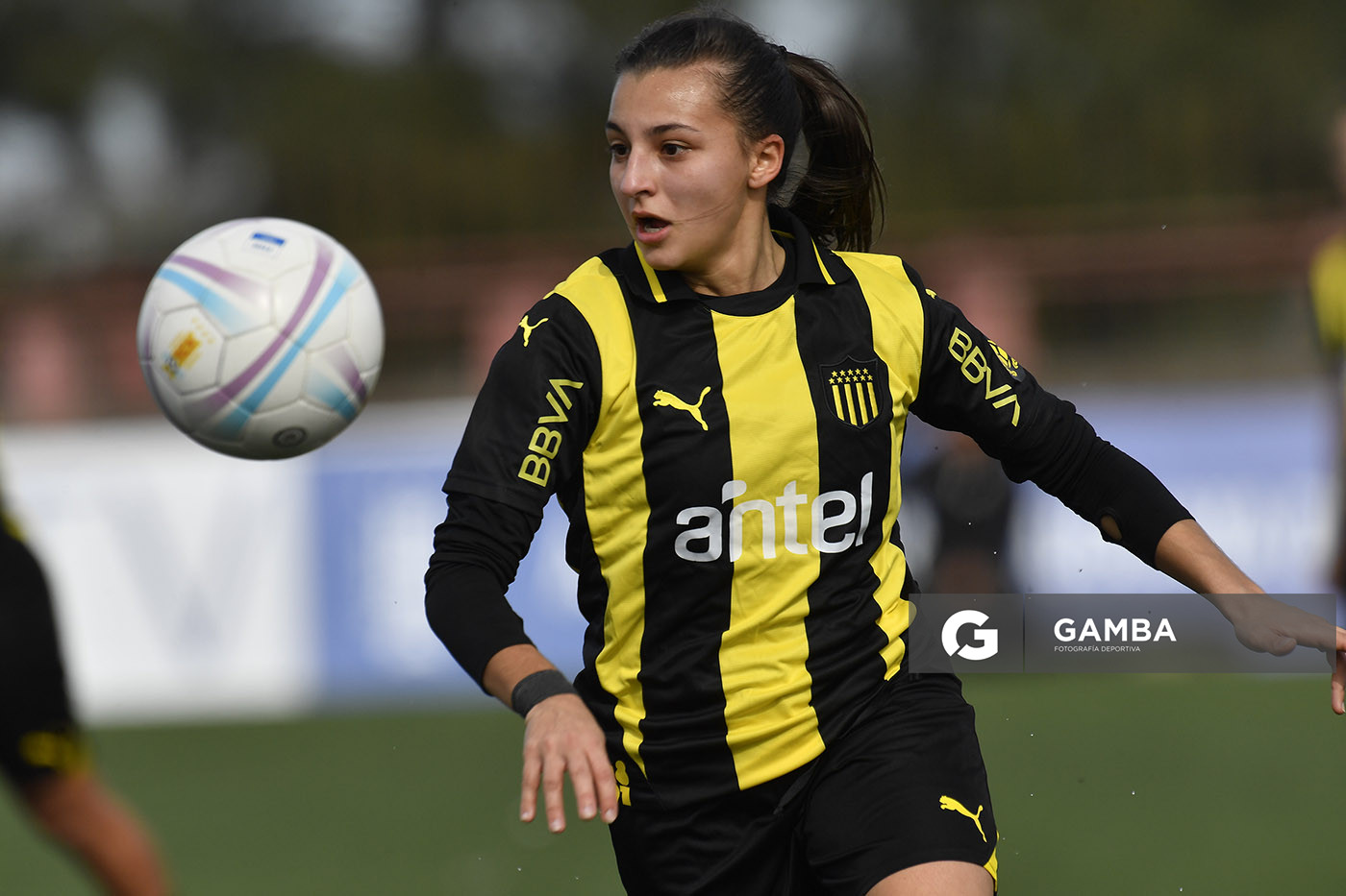 Campeonato Uruguayo de Fútbol Femenino. Complejo Rentistas.