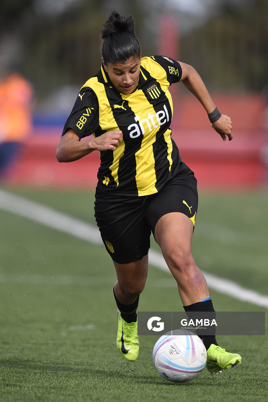 Campeonato Uruguayo de Fútbol Femenino. Complejo Rentistas.