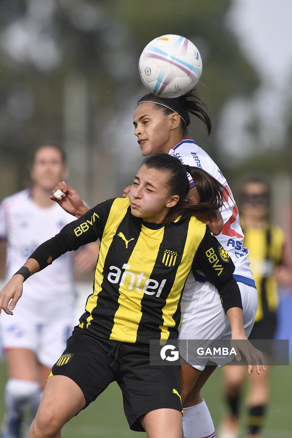 Campeonato Uruguayo de Fútbol Femenino. Complejo Rentistas.
