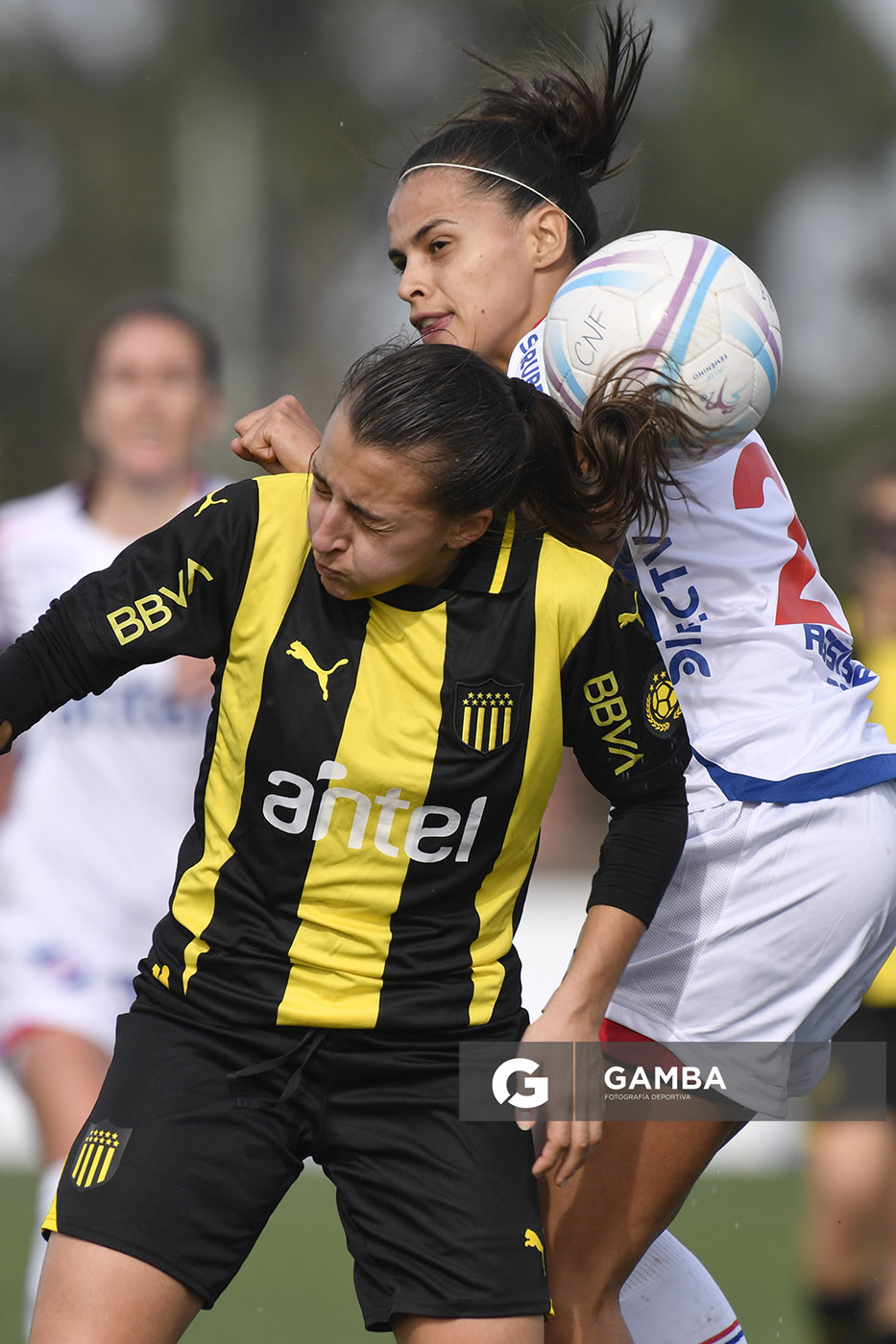 Campeonato Uruguayo de Fútbol Femenino. Complejo Rentistas.