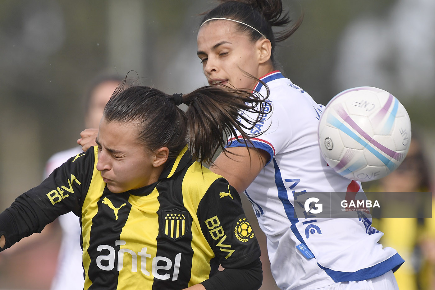 Campeonato Uruguayo de Fútbol Femenino. Complejo Rentistas.