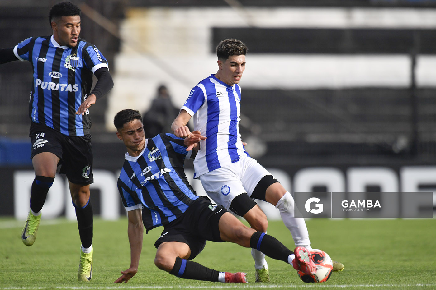 Torneo Apertura. Estadio Belvedere.