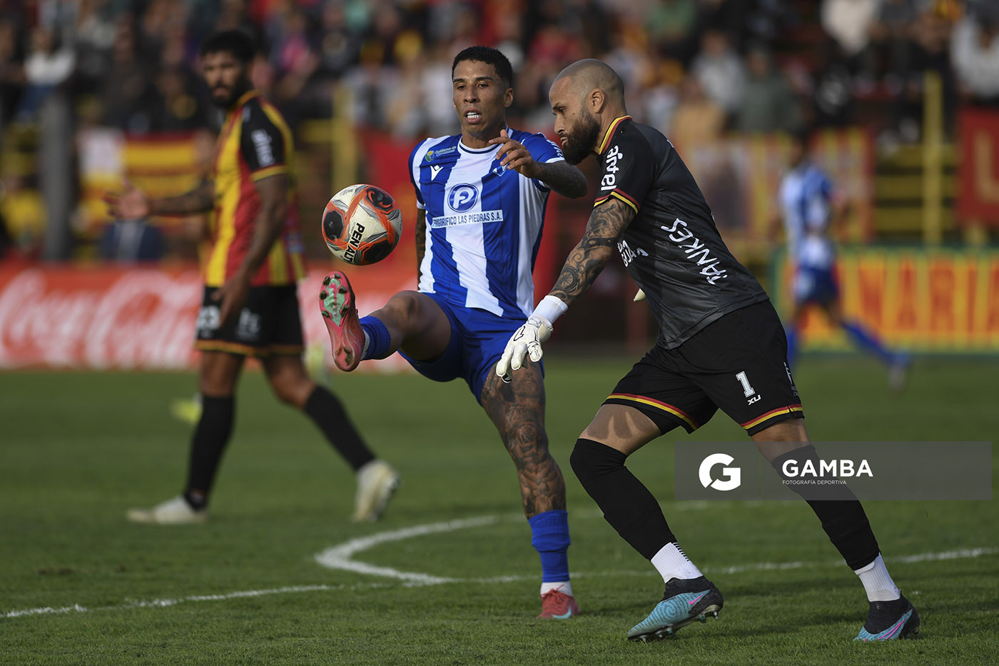 Nicolás Gentilio, golero de Progreso. Torneo Apertura. Estadio Abraham Paladino.