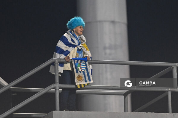 Hincha de Uruguay. Eliminatorias Sudamericanas. Estadio Centenario.
