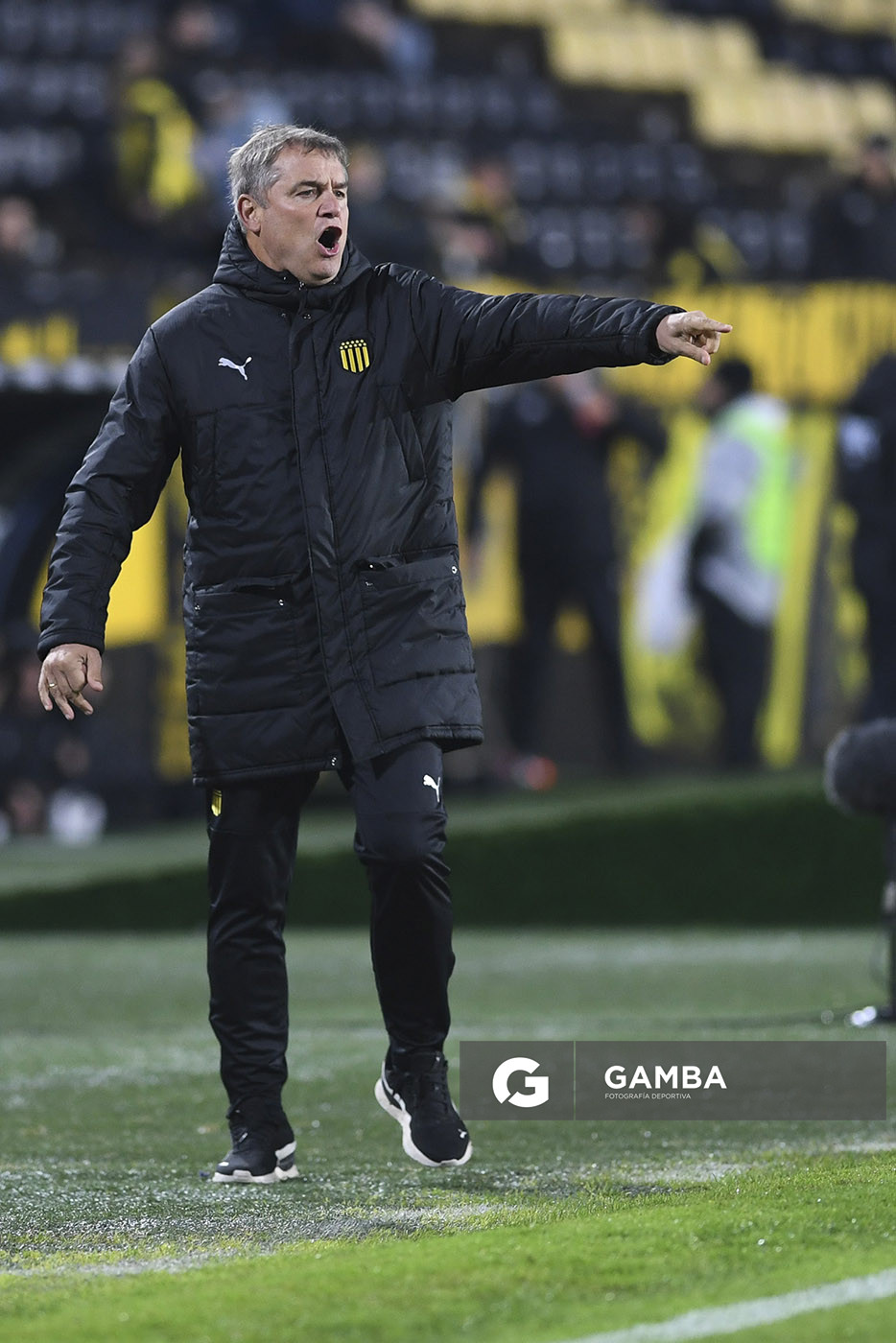 Diego Aguirre, director técnico de Peñarol. Torneo Intermedio. Estadio Campeón del Siglo.