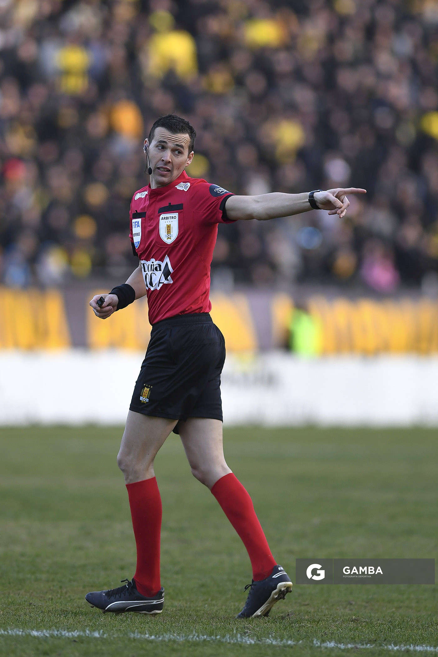 Andrés Matonte, Torneo Intermedio. Estadio Campeón del Siglo.