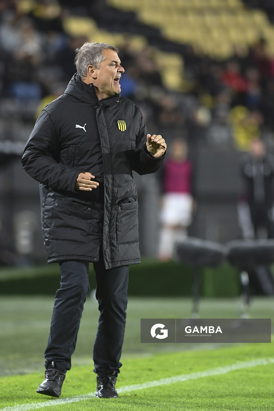 Diego Aguirre, director técnico de Peñarol, Torneo Clausura. Estadio Campeón del Siglo.