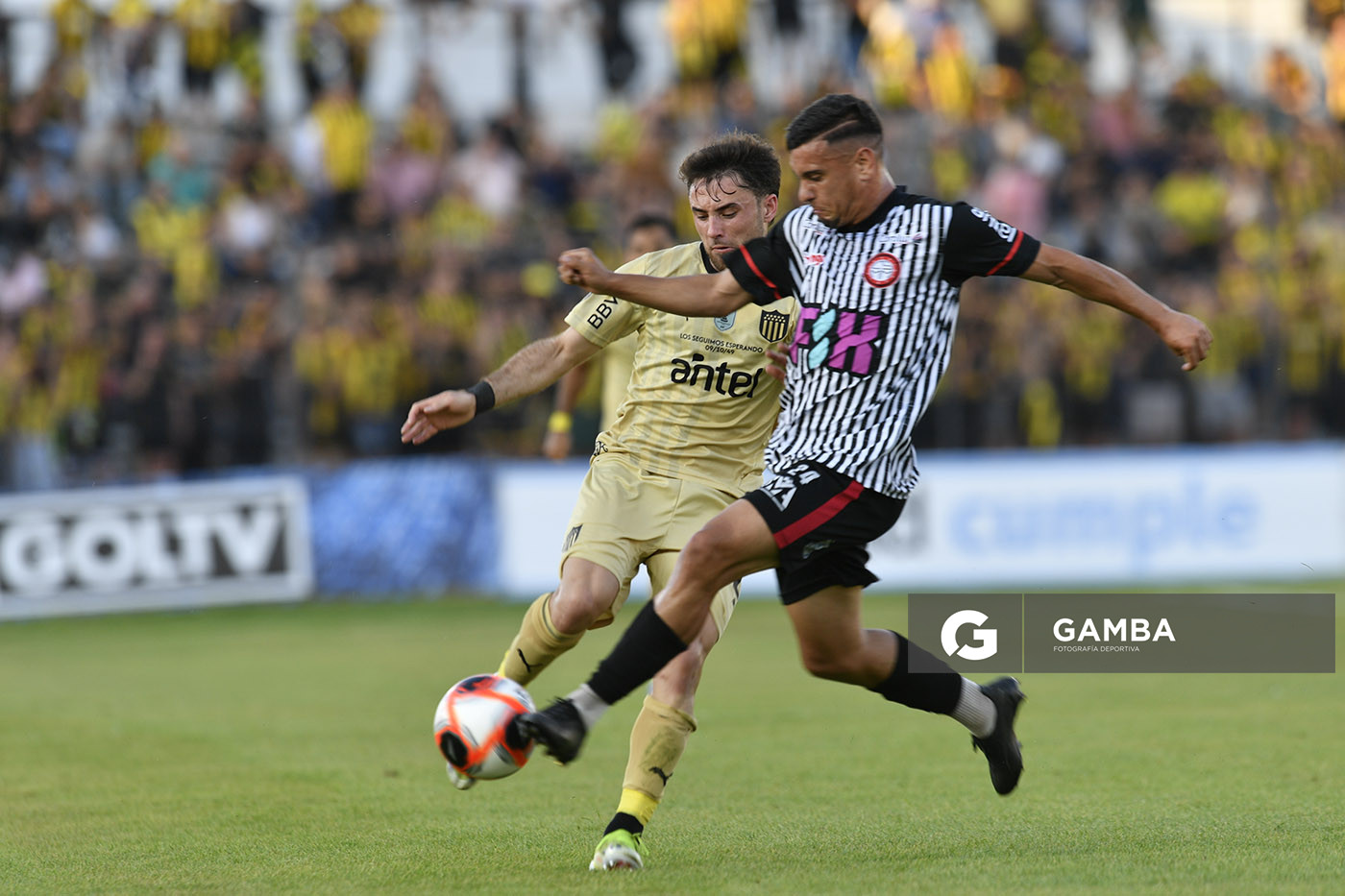 Torneo Clausura. Estadio Silvestre Octavio Landoni.