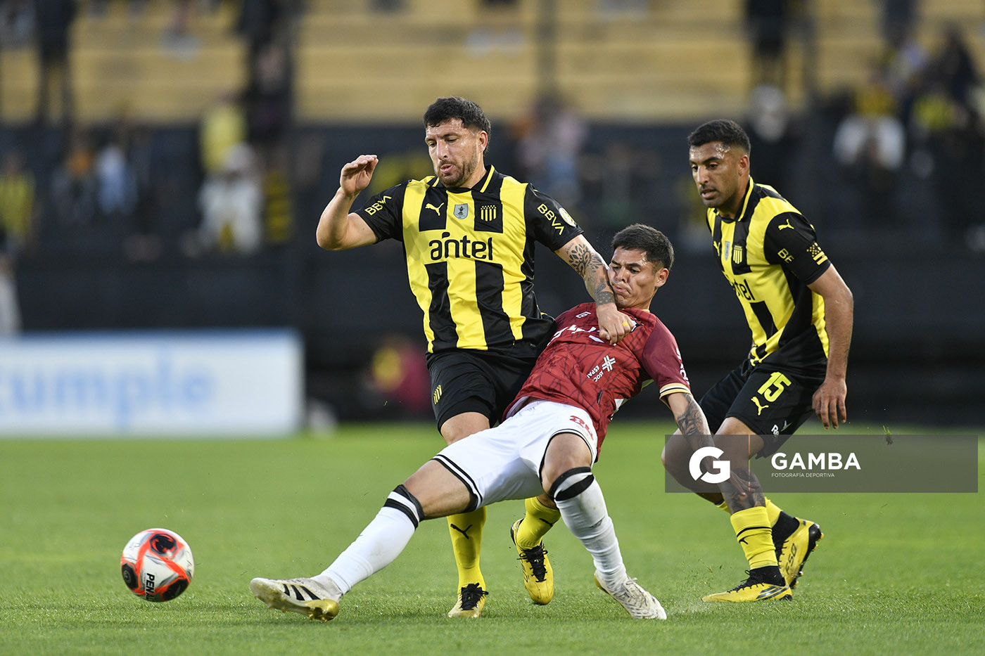 Torneo Clausura. Estadio Campeón del Siglo.