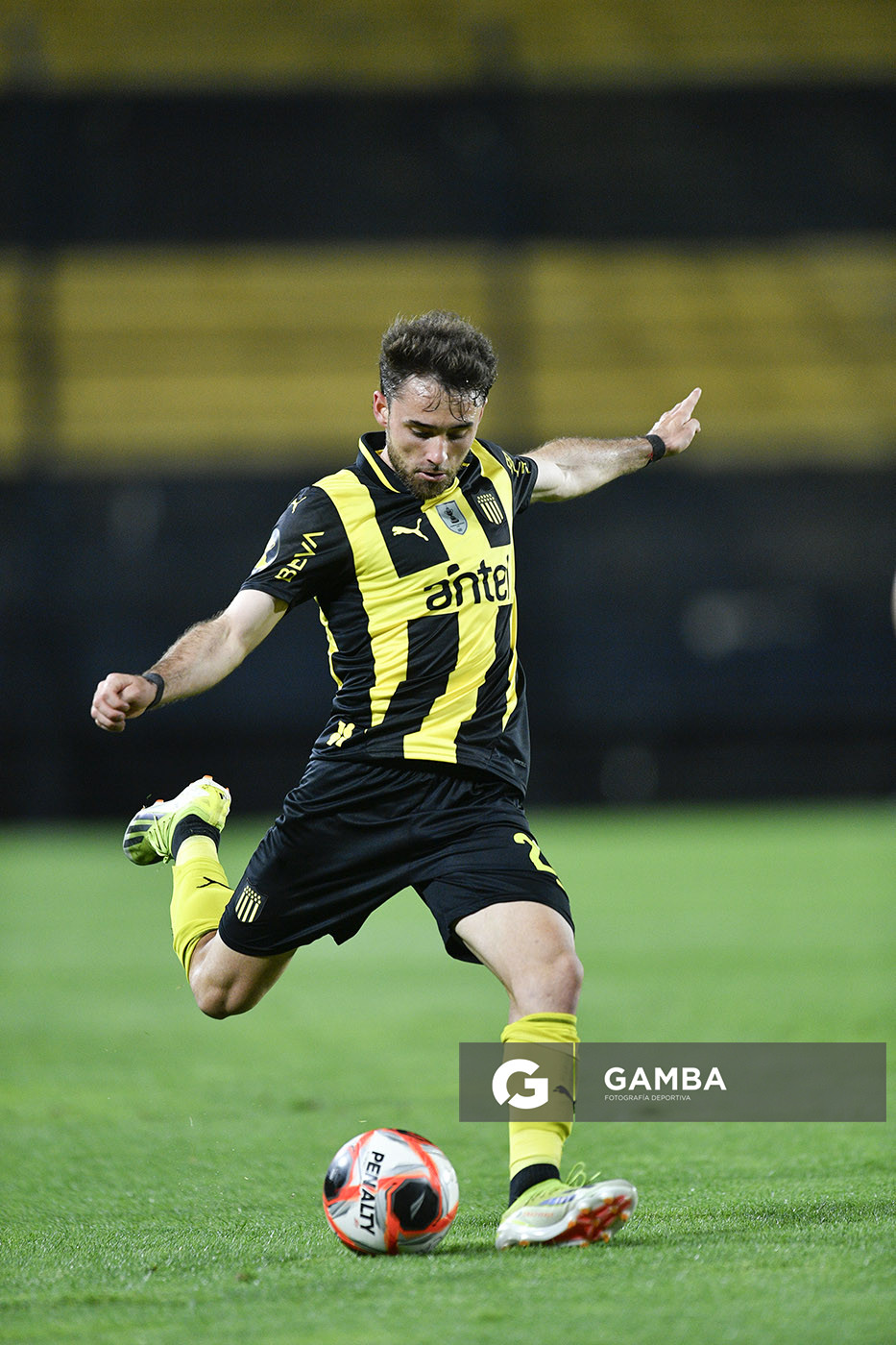 Torneo Clausura. Estadio Campeón del Siglo.