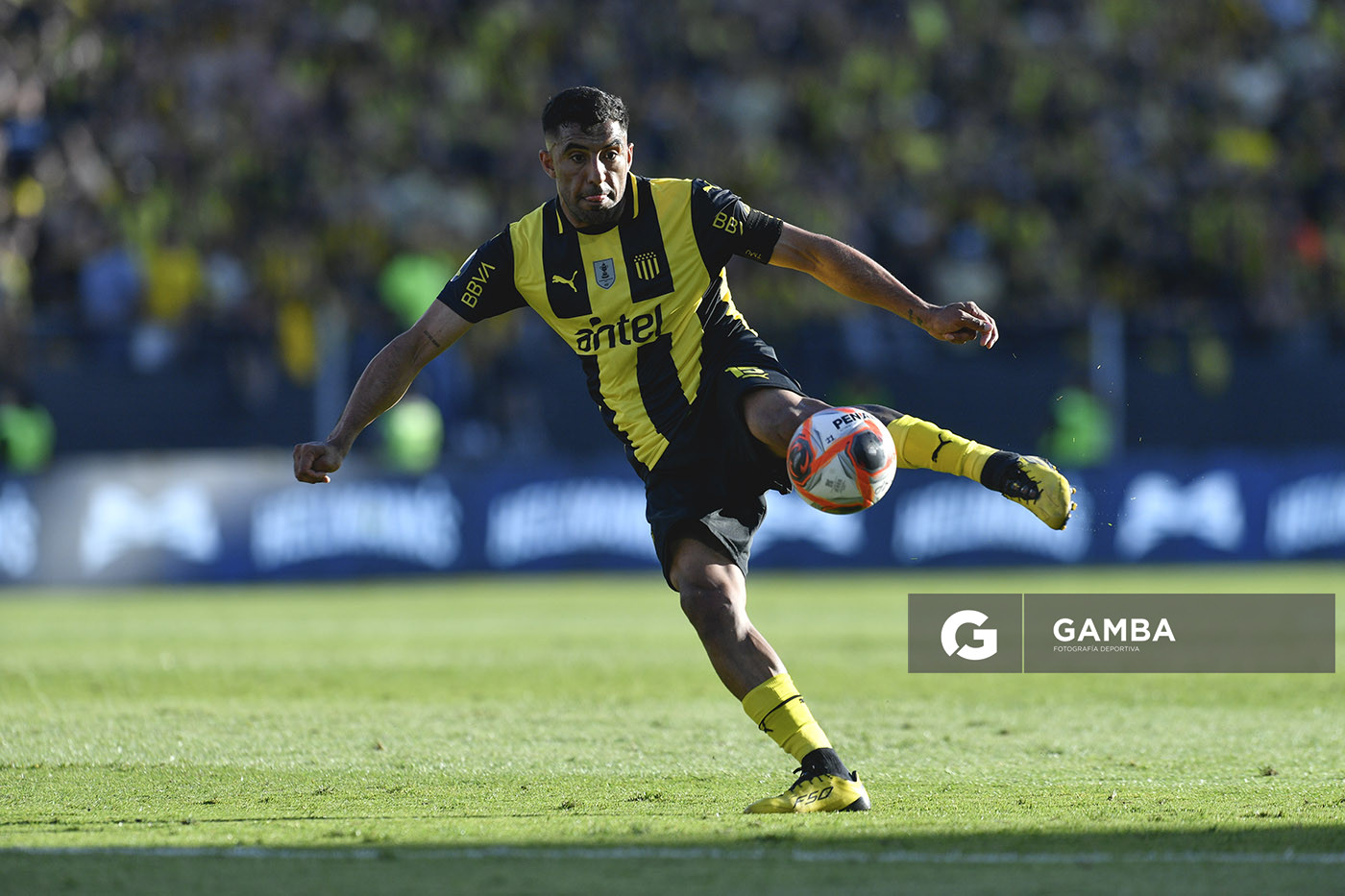 Maximiliano Olivera, de Peñarol, Liga AUF Uruguaya. Estadio Campeón del Siglo.