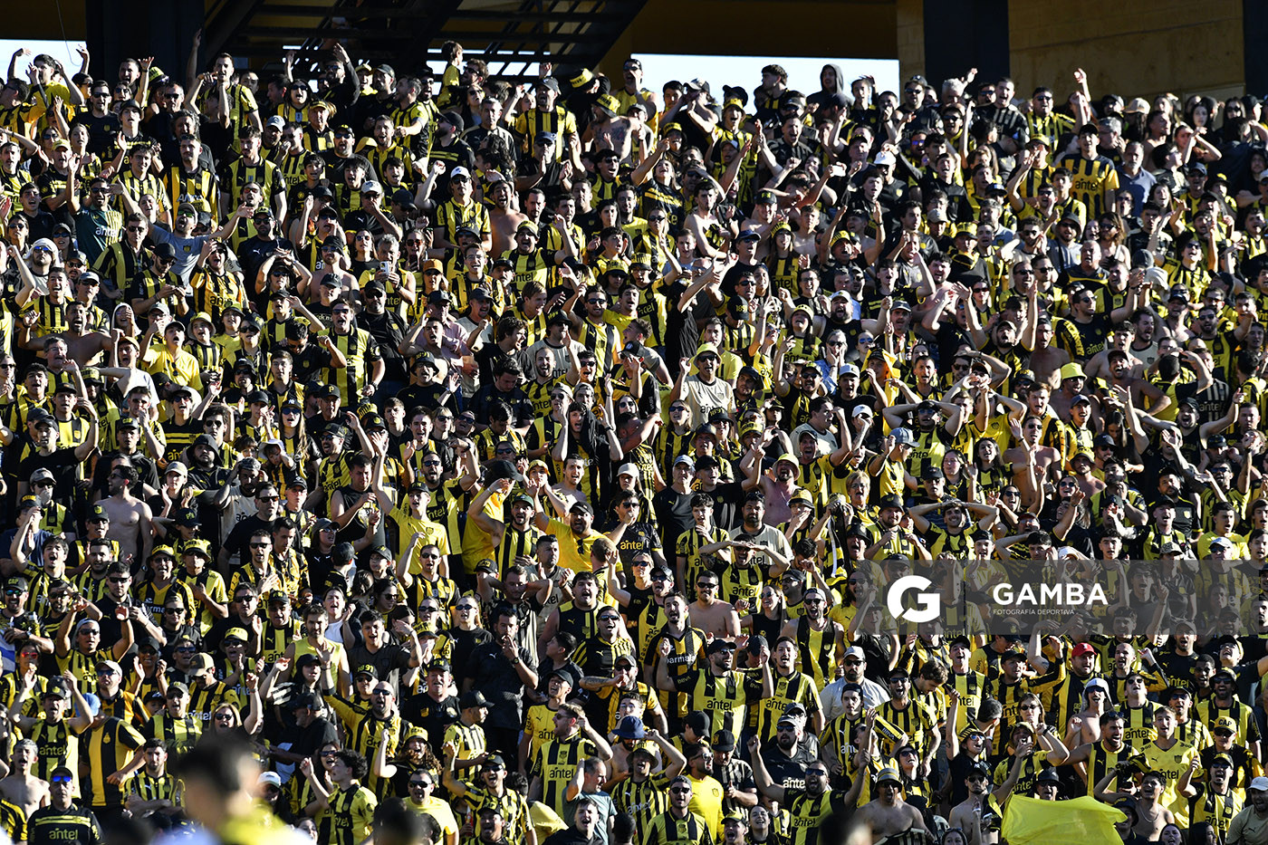 Hinchas de Peñarol. Liga AUF Uruguaya. Estadio Campeón del Siglo.