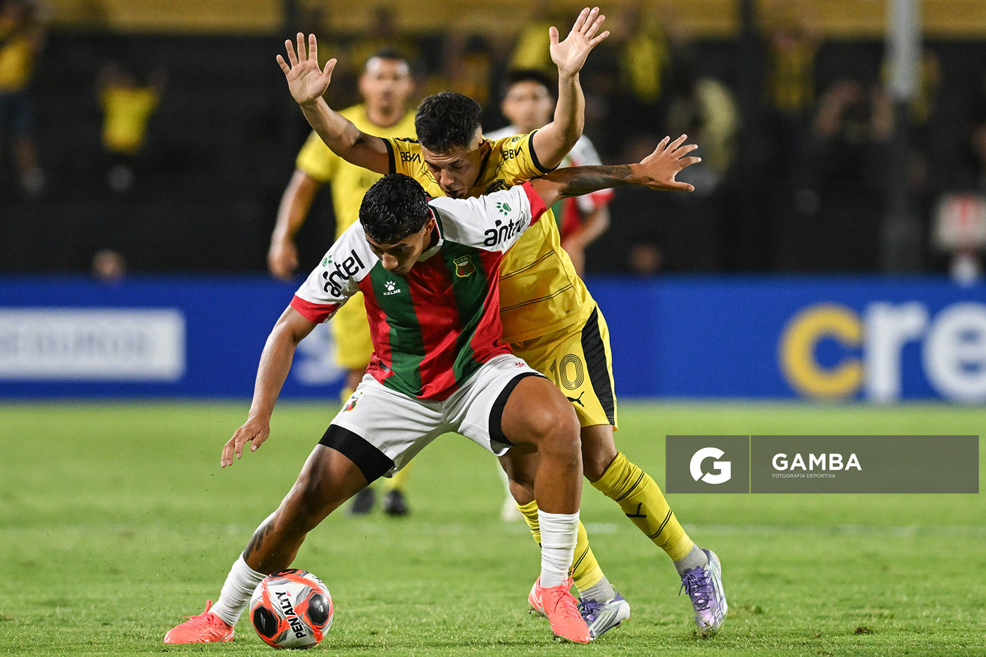 Maximiliano González, de Deportivo Maldonado, Liga AUF Uruguaya 2026 «Juan Carlos De Lima». Estadio Campeón del Siglo.
