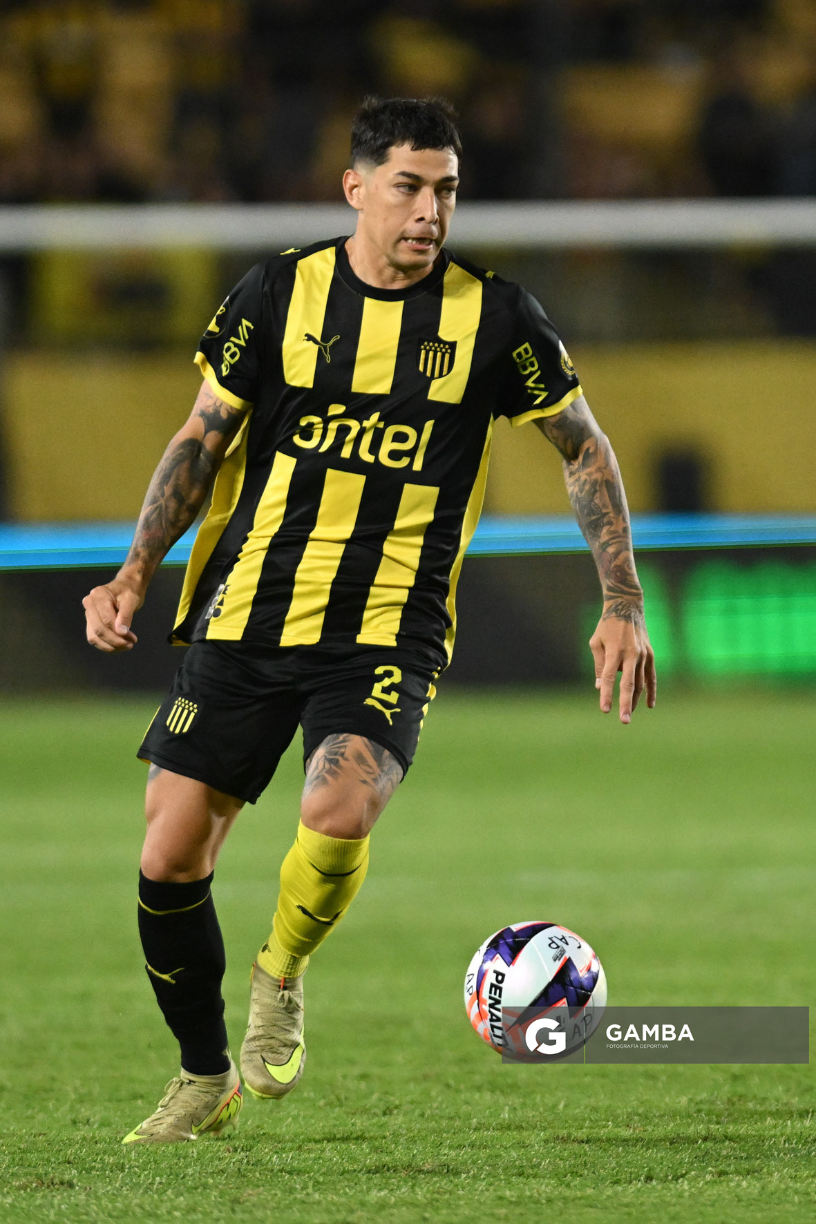 Liga AUF Uruguaya. Estadio Campeón del Siglo.