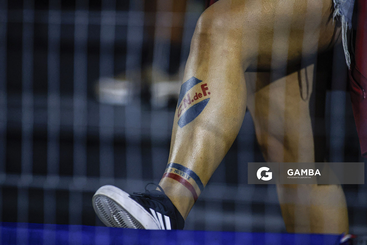 Hinchas de Nacional. Liga AUF Uruguaya. Estadio Charrúa.