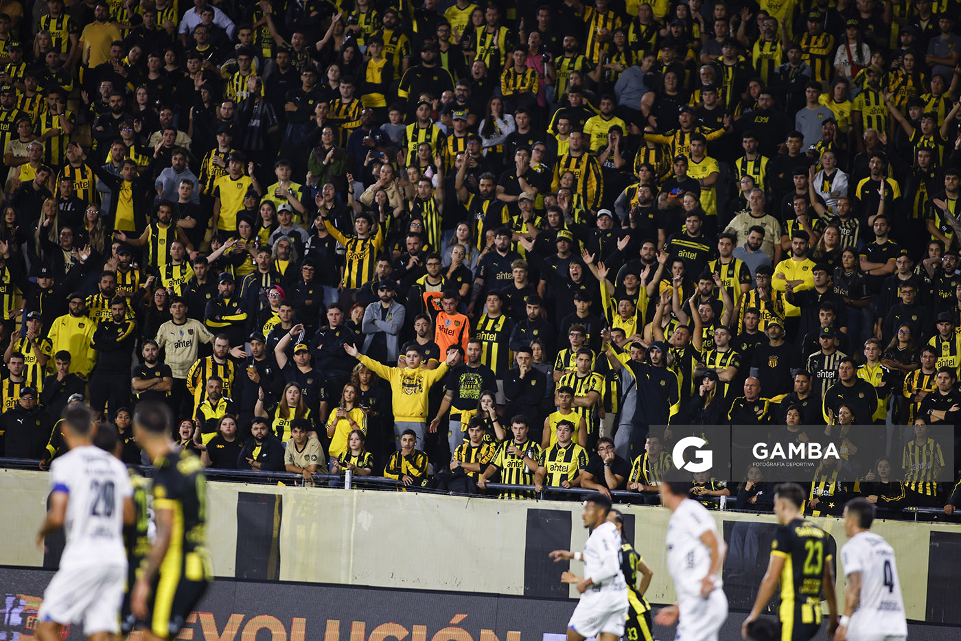Hinchas de Peñarol. Liga AUF Uruguaya. Estadio Campeón del Siglo.
