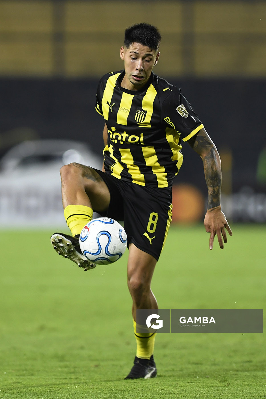 Roberto Fernández, de Peñarol, Copa Conmebol Libertadores. Estadio Campeón del Siglo.
