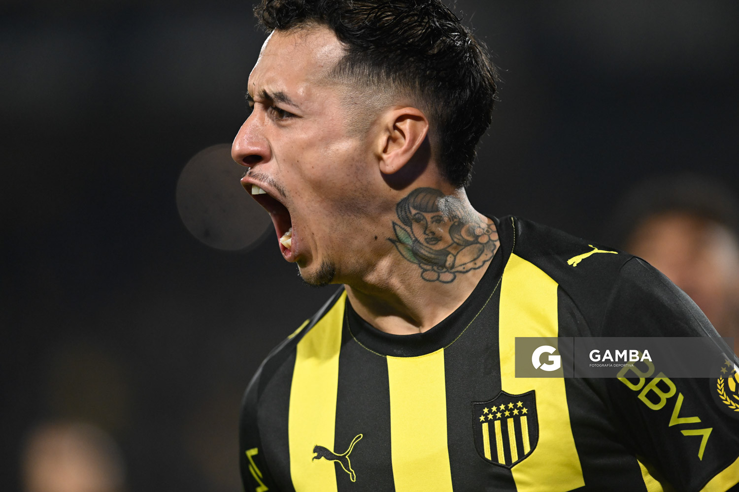 Liga AUF Uruguaya. Estadio Campeón del Siglo.