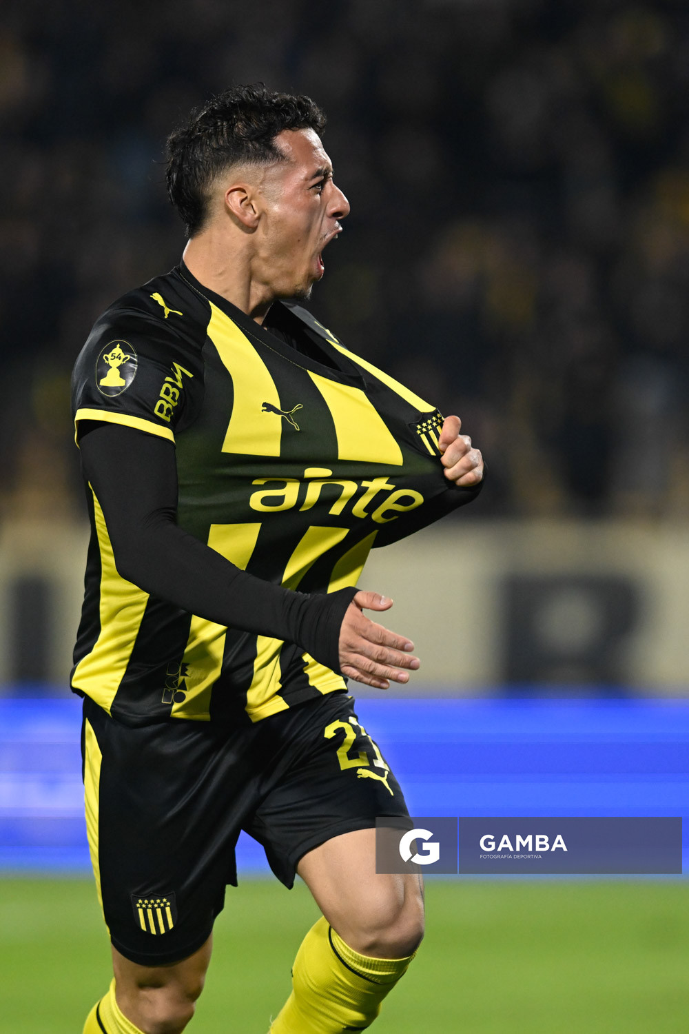 Liga AUF Uruguaya. Estadio Campeón del Siglo.