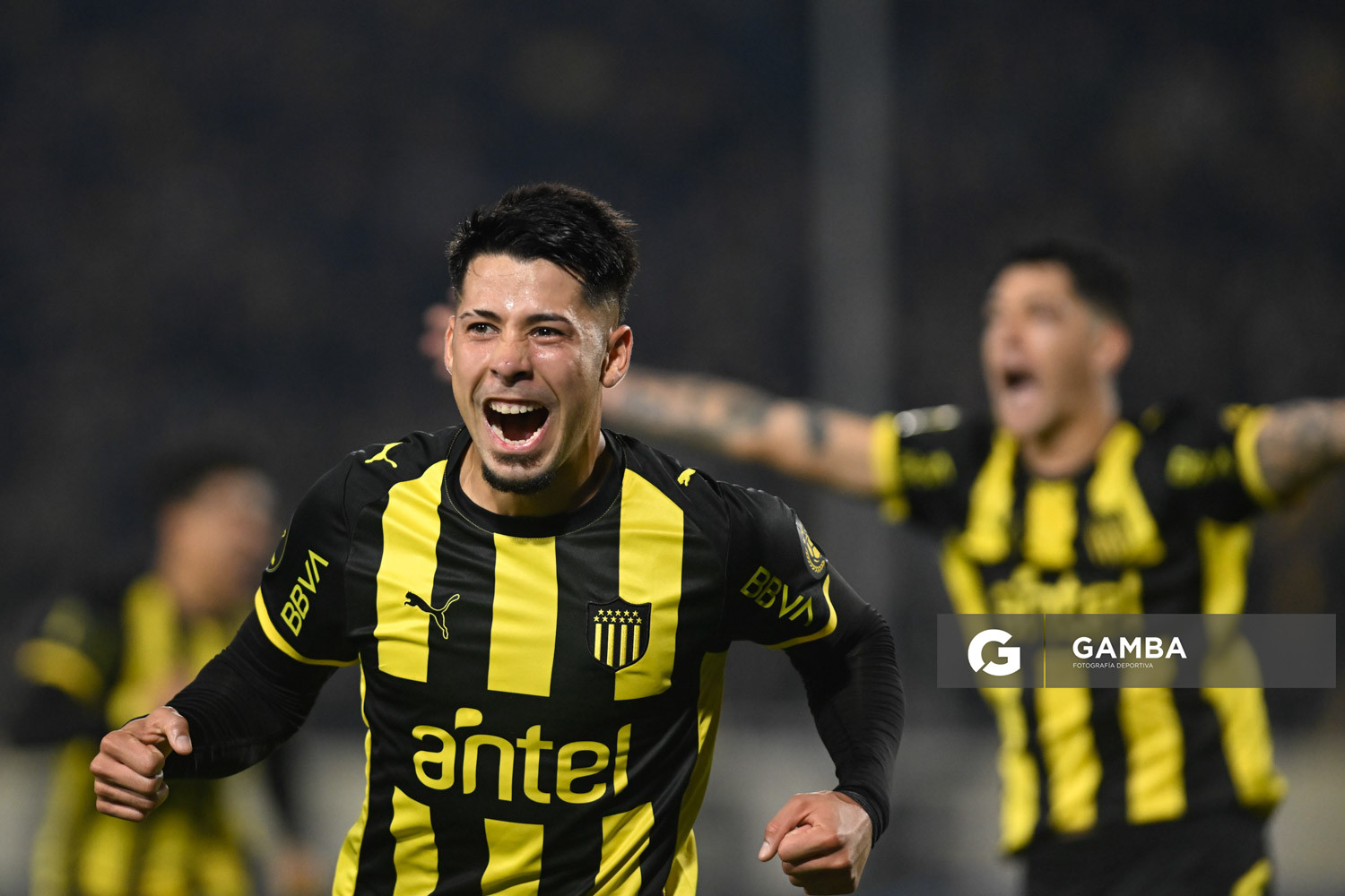 Liga AUF Uruguaya. Estadio Campeón del Siglo.