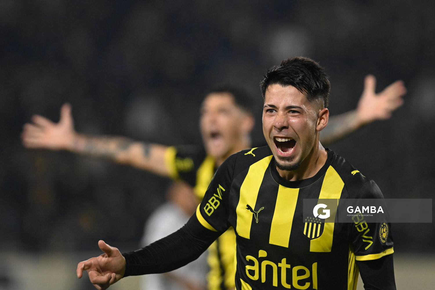 Liga AUF Uruguaya. Estadio Campeón del Siglo.
