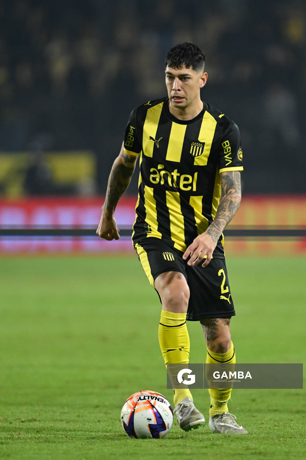 Liga AUF Uruguaya. Estadio Campeón del Siglo.