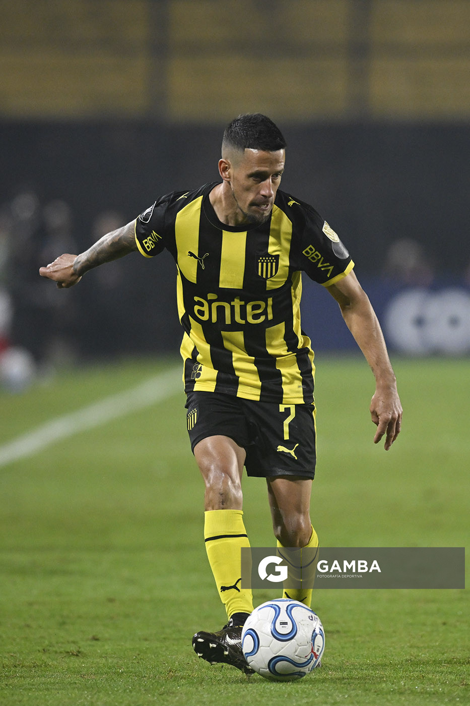Javier Cabrera, de Peñarol, Copa Conmebol Libertadores. Estadio Campeón del Siglo.