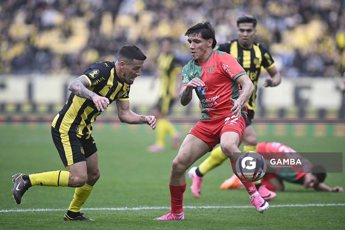 Javier Cabrera, de Peñarol, Liga AUF Uruguaya. Estadio Campeón del Siglo.