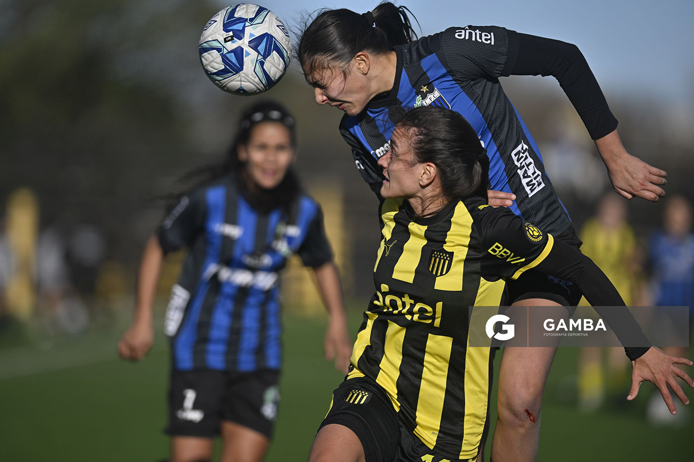 Rocío Fracchia, de Liverpool, Campeonato Uruguayo Femenino. Estadio José Pedro Damiani.