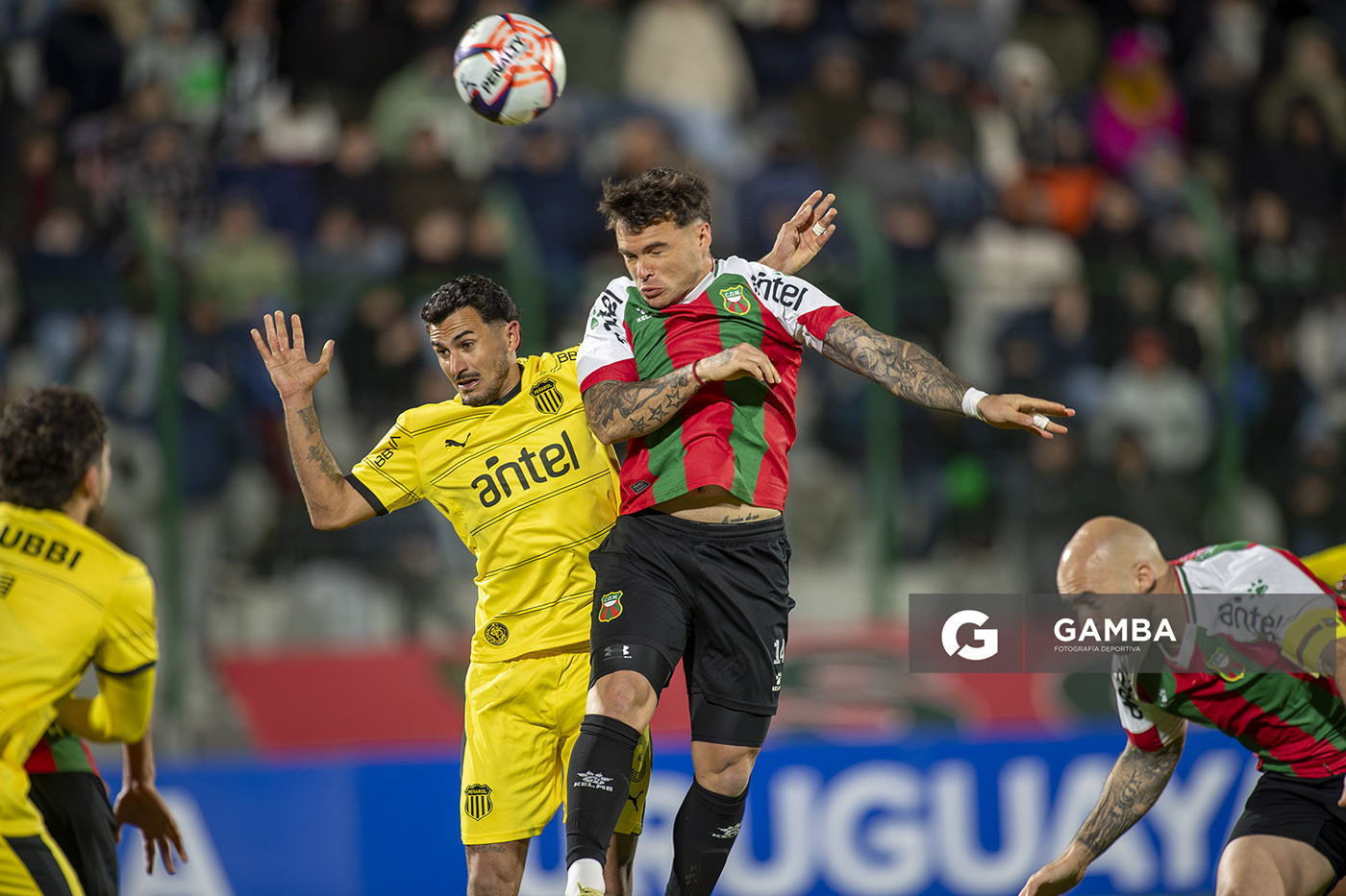 Liga AUF Uruguaya. Estadio Domingo Burgueño.