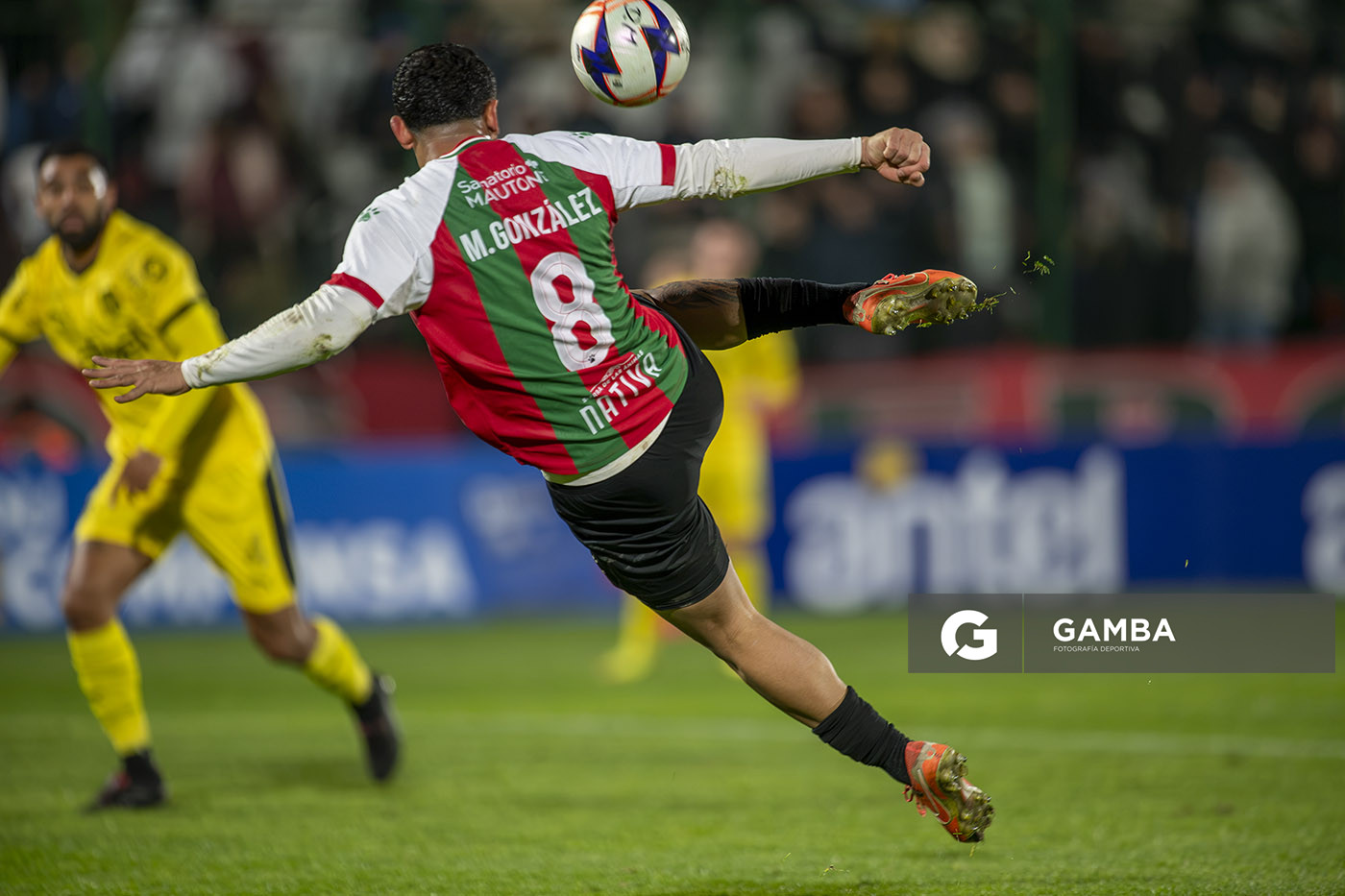 Liga AUF Uruguaya. Estadio Domingo Burgueño.