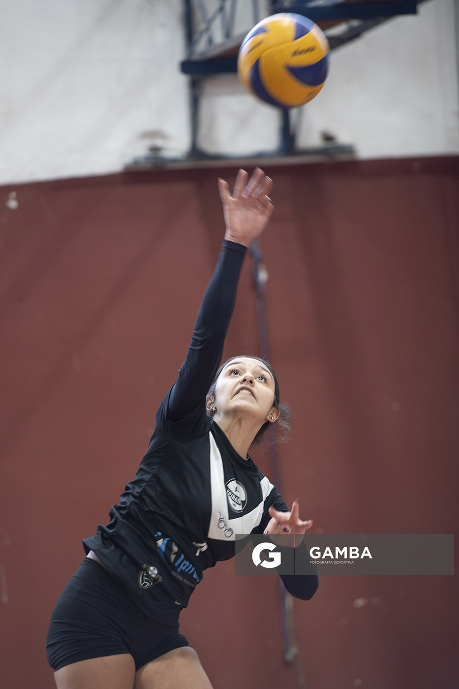 Festival Volley de la Sierras.
