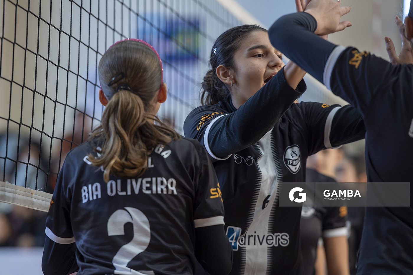 Festival Volley de la Sierras.