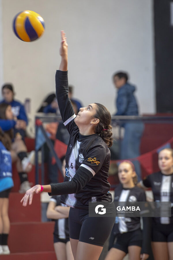 Festival Volley de la Sierras.