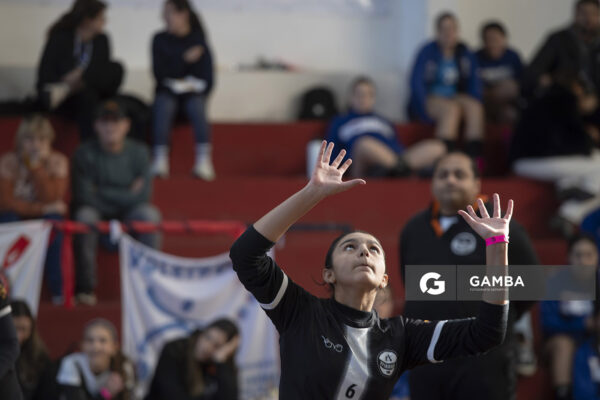 Festival Volley de la Sierras.
