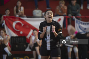 Festival Volley de la Sierras.