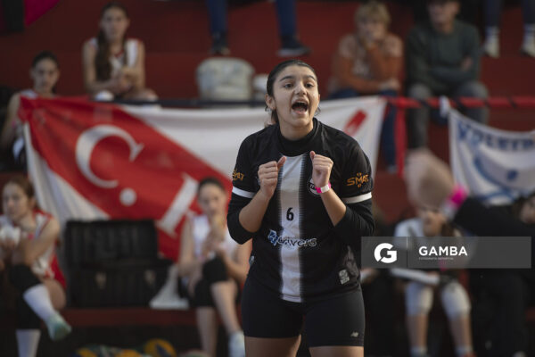 Festival Volley de la Sierras.