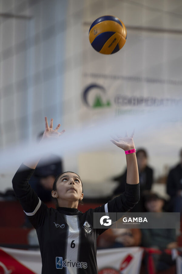 Festival Volley de la Sierras.