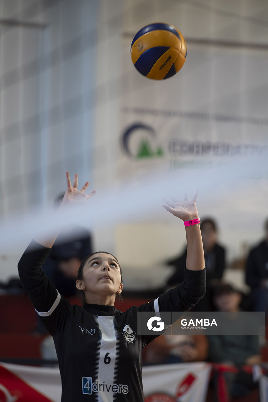 Festival Volley de la Sierras.