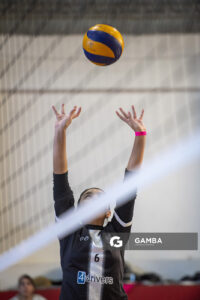 Festival Volley de la Sierras.