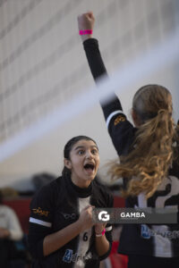 Festival Volley de la Sierras.