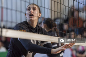 Festival Volley de la Sierras.