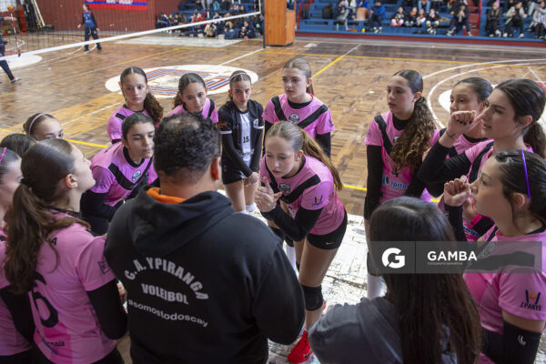 Festival Volley de la Sierras.