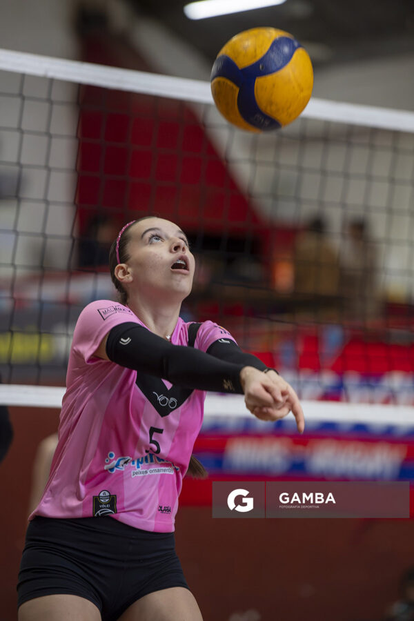 Festival Volley de la Sierras.