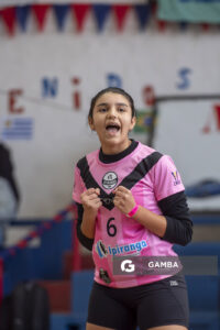 Festival Volley de la Sierras.