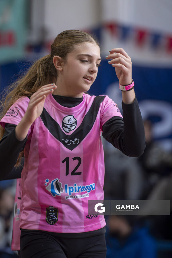 Festival Volley de la Sierras.
