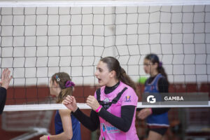 Festival Volley de la Sierras.