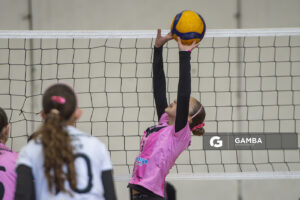 Festival Volley de la Sierras.
